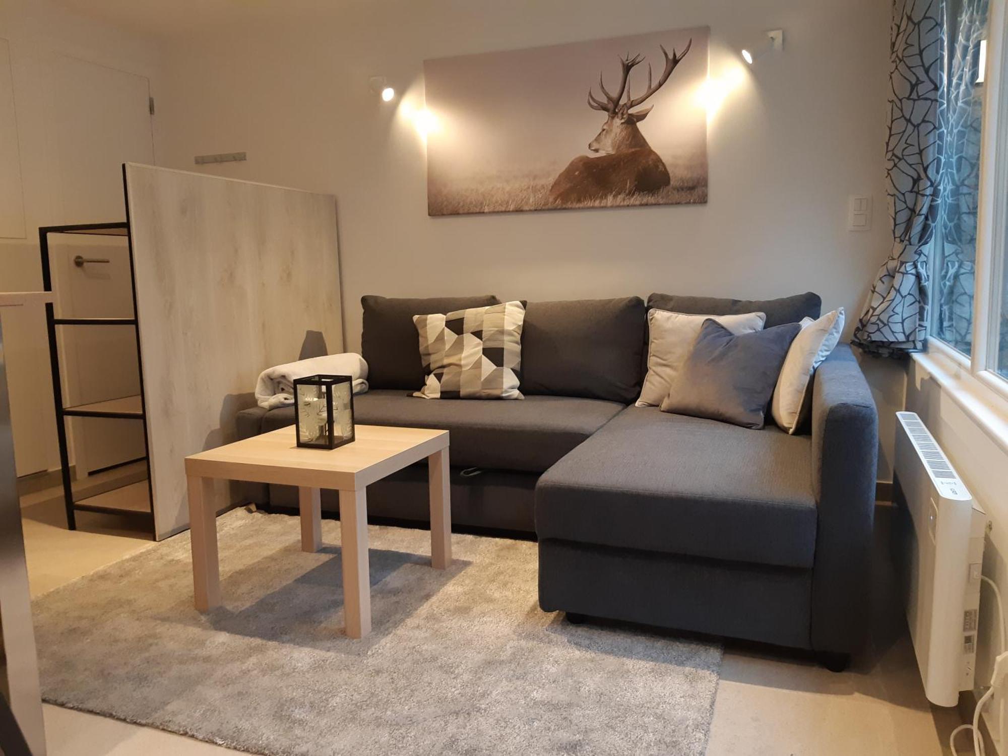 Terrasses De Malmedy F&L Triplex 214 Et Studio 320 Et 317 Et Studio Superieur 340 Room photo